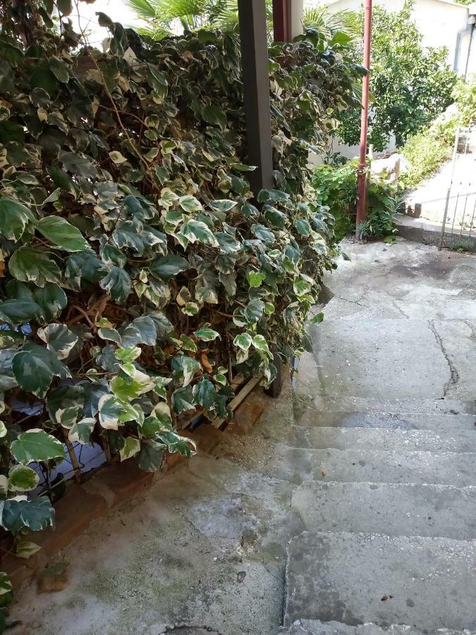 Rooms Jancic Ulcinj Exterior photo