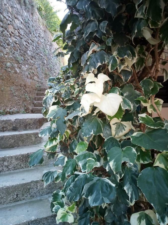 Rooms Jancic Ulcinj Exterior photo